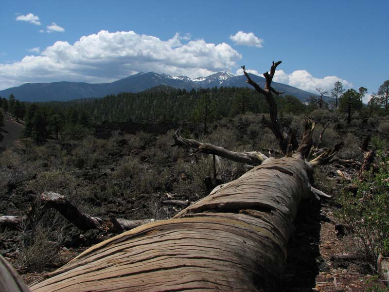 Sunset Crater - San Francisco Mountains